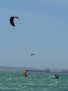 GALLERY KITING  (26)